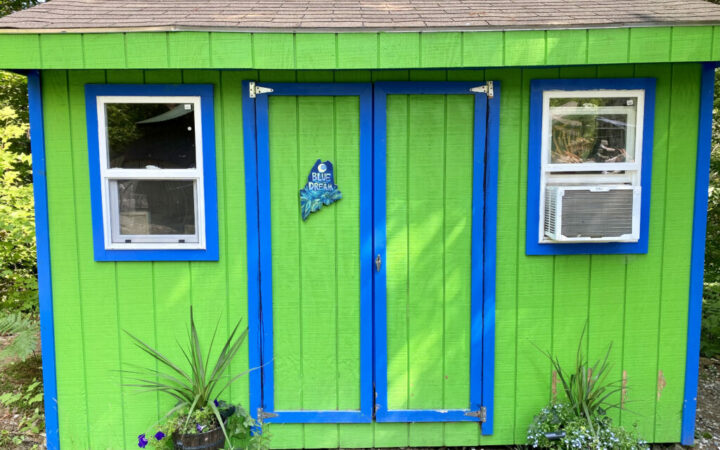 Blue Dream Cabin